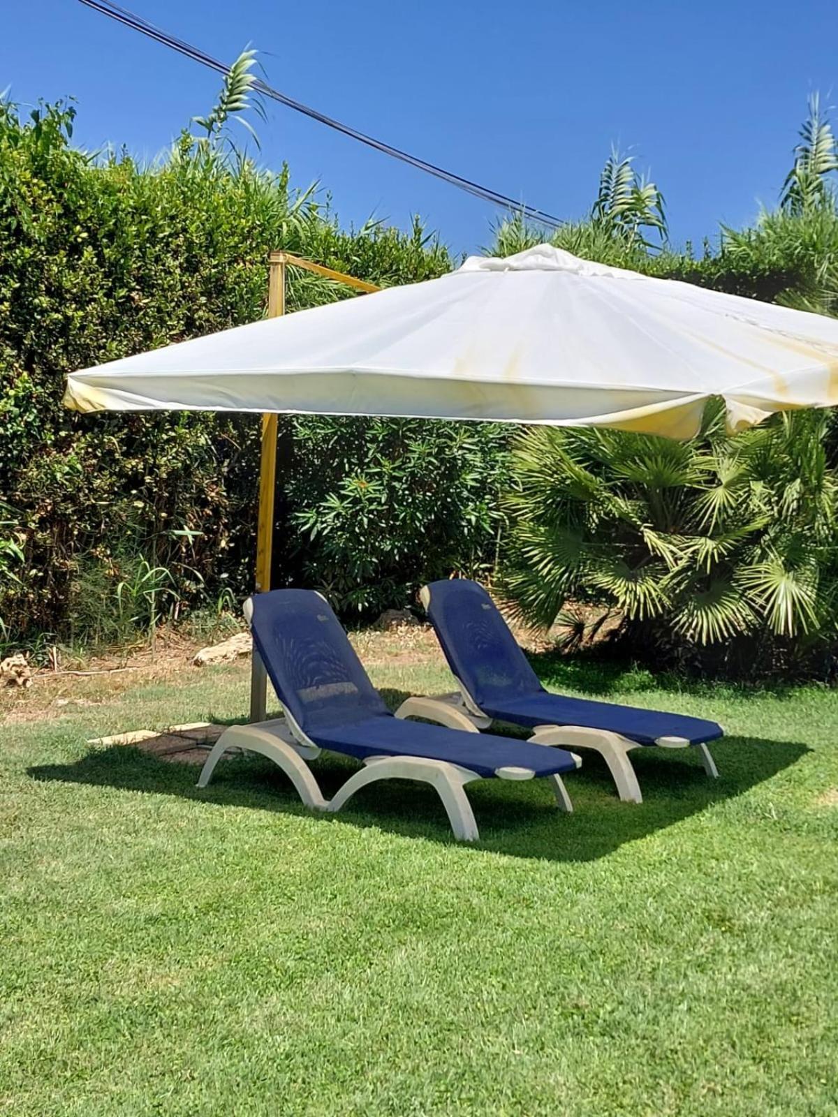 פיומיצ'ינו Modular King Suite - Intera Suite Vicino Aeroporto E Fiera Di Roma מראה חיצוני תמונה